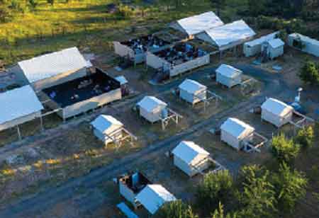 The Premiere Destination for Automated Astronomical Data Collection and Imaging